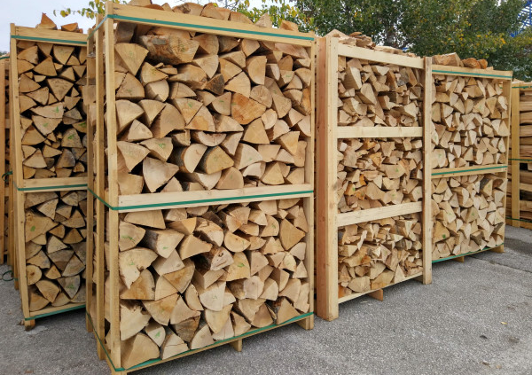 Conseils pour protéger le bois de chauffage des insectes